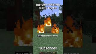 Some Random Facts About Polished Sulfur In Minecraft!