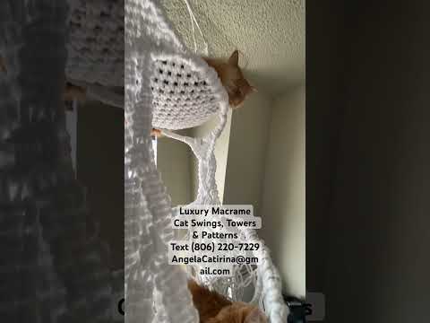 806 220 7229AngelaCatirina Gmail Com Cat Cattower Catlady 