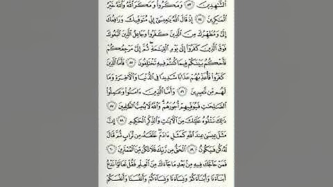 سورة آل عمران - الصفحة الثامنة