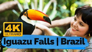 Iguazu Falls in Brazil 4K 🇧🇷