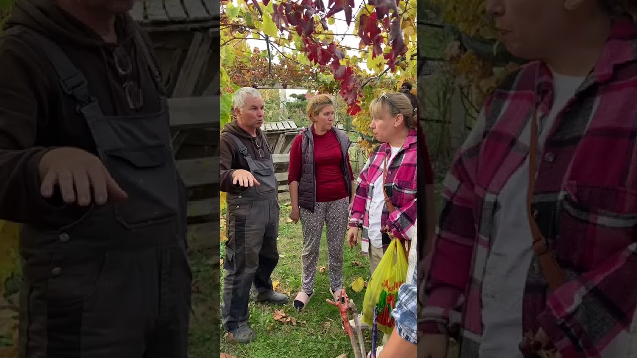 Видео от моих гостей.