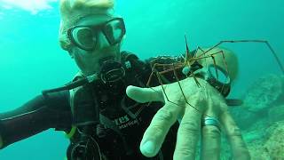 Тенерифе дайвинг / Tenerife Diving