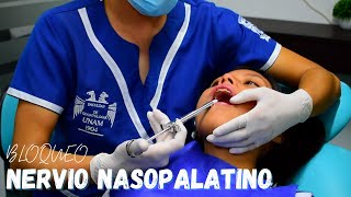 Técnicas de anestesia Nasopalatina/ Malamed