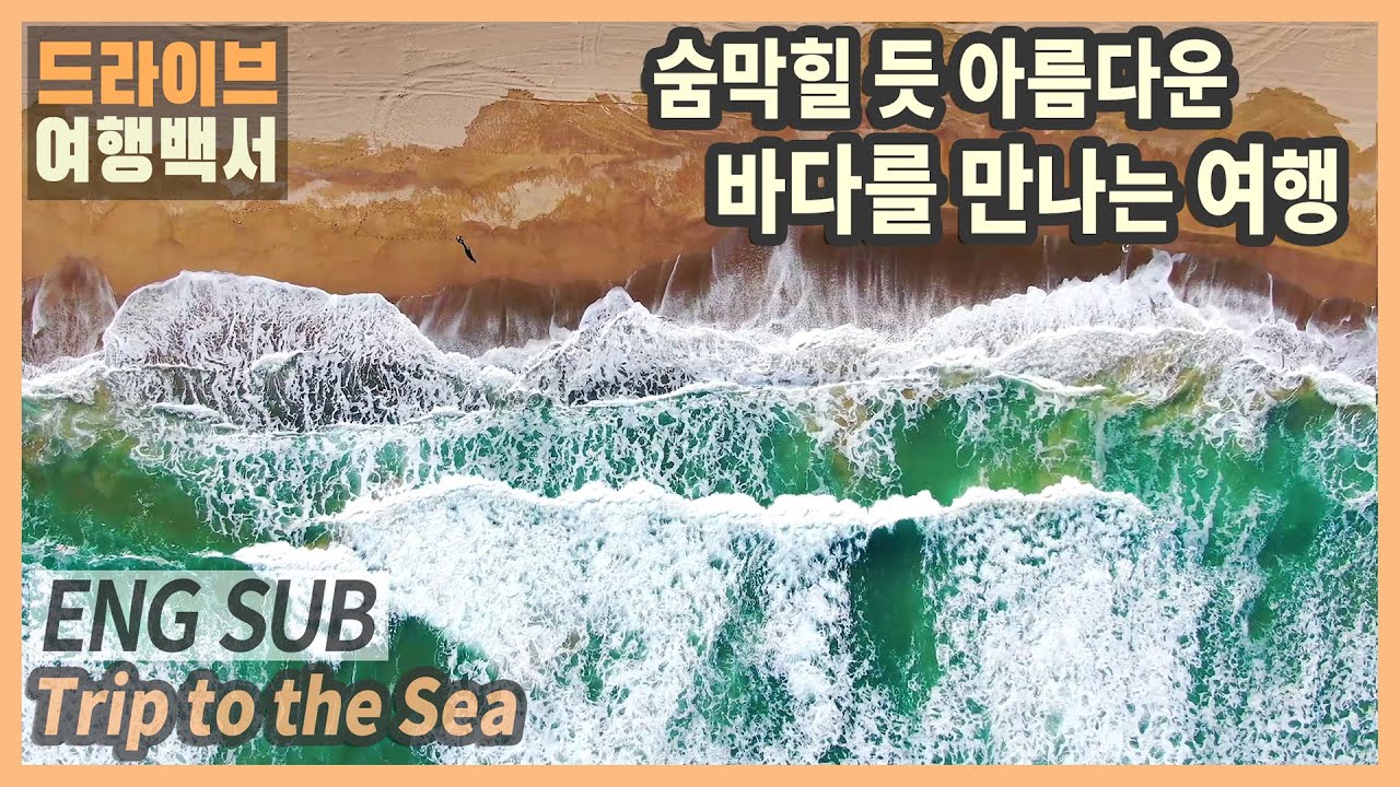 [ENG SUB] 국내여행 다큐 / 시리도록 아름다운 바다를 만나는 포항 여행 / 환호공원 스페이스워크, 칠포해변, 곤륜산, 이가리닻전망대, 청하시장, 사방기념공원 / 국내여행추천