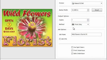 VinylMaster Output - RIP, Print & Cut Tools & Features
