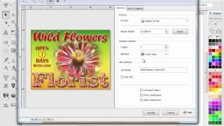 VinylMaster Output - RIP, Print & Cut Tools & Features