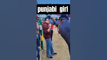 #dairyherd #animalfarming #trendingshorts #farming #brarandsandhudairyfarm #cow