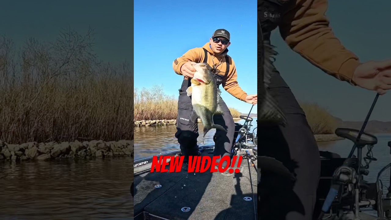 Catching Big Bass In BFL #1 of the season! 