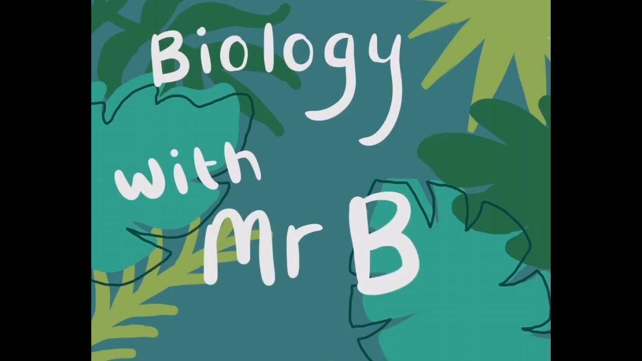 Cell Structure revision video - YouTube