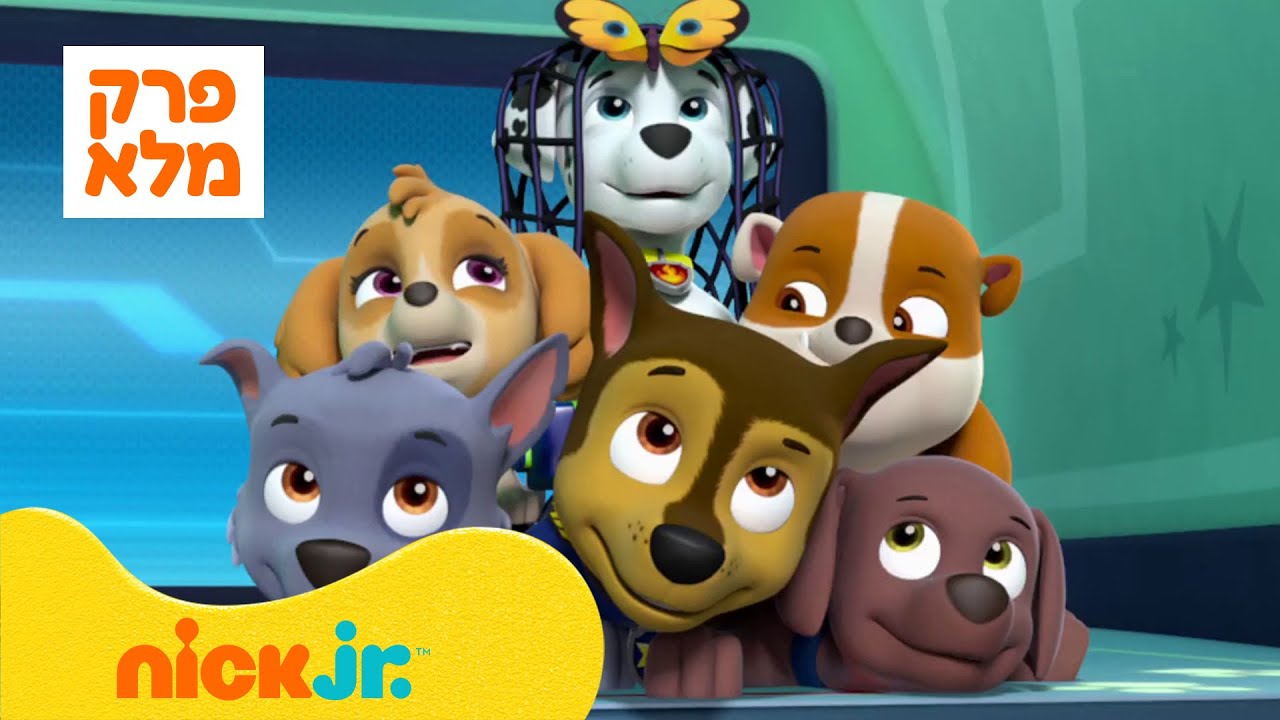 מפרץ ההרפתקאות 🐾: עונה 4 פרק 2 המלא! | ניק ג'וניור