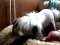 Bill en zn bontje