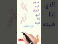 ما هو اسم الطائر قصص حكايات قصص واقعية حكم الغاز معلومات امثال فيديو قناة قناة قصص و ألغاز 