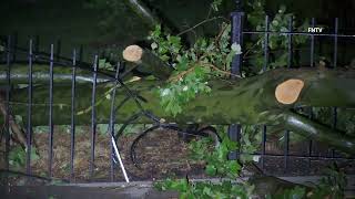 Massive Tree Down on Cars and Fence Columbia St - Manhattan