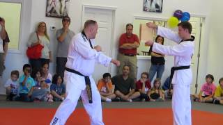 Master P Instructor Tae Kwon Do Board Breaking Power Spinning Kick