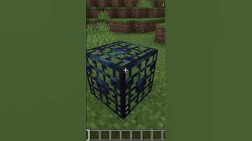 THIS DATA PACK MADE ME INTO A BLOCK!!!!