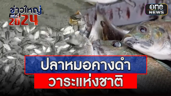 วาระแห่งชาติ กำจัด "ปลาหมอคางดำ" | ข่าวใหญ่แห่งปี 2024 | สำนักข่าววันนิวส์