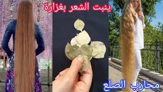 ضعيها على شعرك بتطول الشعر بجنون لن يتوقف شعرك عن النمو بغزارة ويقف تساقط الشعر يحارب الصلع