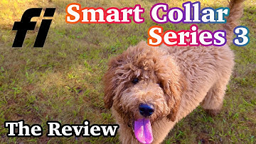 Fi Smart Dog Collar | The Review | Worth It For So Many Reasons |