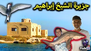 جزيرة الشيخ إبراهيم وصدنه قرش كبير مع سالم البوعينين - Sheikh Ibrahim island, Catch Big Shark