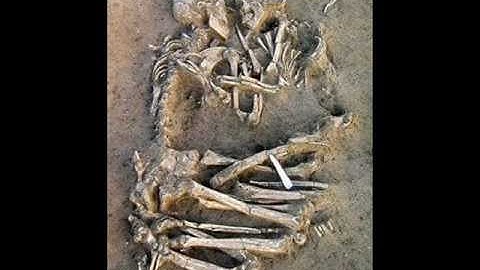 Saeculum-Lost Worlds .wmv