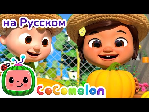 Учимся про Овощи с Джей-Джеем и Друзьями! 🥕🍅🥦| CoComelon на русском — Детские песенки