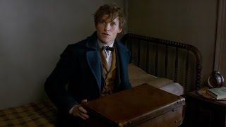 Fantastic Beasts and Where to Find Them | official trailer #1 US (2016) J.K. Rowling Eddie Redmayne