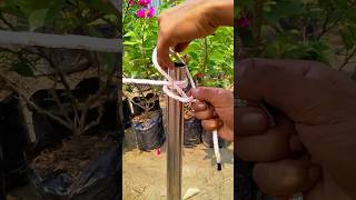 Outdoor AdventuresReliable Rope Knot for 💯👍😱