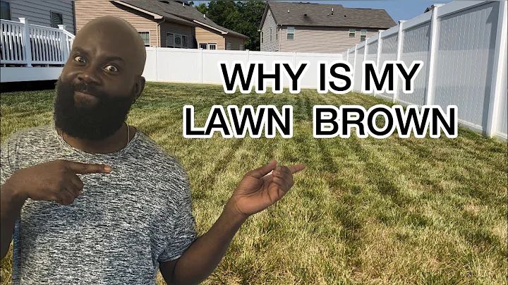 How to Repair a Dormant Lawn