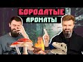 Слоновий лес и самый мягкий парфюмерный табак | Слепые затесты от @NuhachBorodach