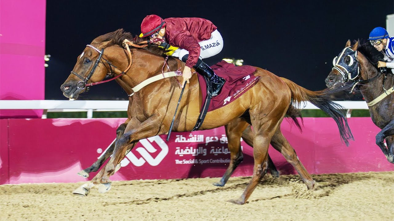RM 15  Al Rayyan Race 8  - Ras Laffan Cup