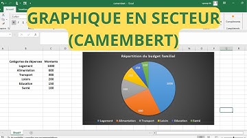 Comment Créer un Graphique à Secteurs sur Excel (Diagramme Circulaire : Camembert)