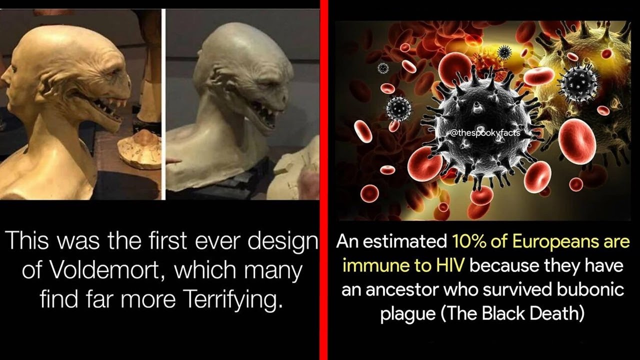 Creepy Facts Not For The Fainthearted | Happy Land