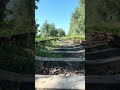 Walking on an old railroad tracks | Railroad tracks in the forest #short #shorts