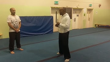 How To Move When Being Attack By A Group Of People Video 3-3 Praying Mantis Sifu Bryan Barnes