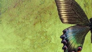 Венецианская КАРФАГЕНСКАЯ Штукатурка Мастер классы VENETIAN PLASTER декоративная фреска Урок 2 Венецианская КАРФАГЕНСКАЯ Штукатурка Мастер классы VENETIAN PLASTER декоративная фреска Урок 2