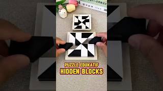 Tes Kecerdasan Klasik Pecahkan Puzzle Balok Hitam Putih Sesuai Bentuk Kartu tekateki hiddenblock