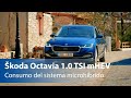 Škoda Octavia 1.0 TSI mHEV 110 CV 2020 - Consumo | km77.com