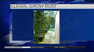 Pueblo Sheriff's Office busts illegal pot grow in southeast Pueblo County
