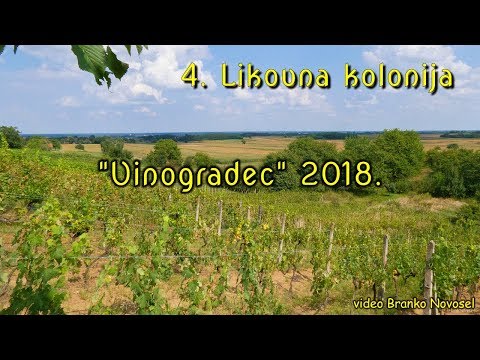 4. Likovna kolonija - Vinogradec 2018.