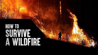 How to Survive a Wildfire