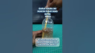 Trik membasmi kecoa dan semut #creatorkampung #tipspraktis #tutorial #tips #tipsampuh #tipssederhana