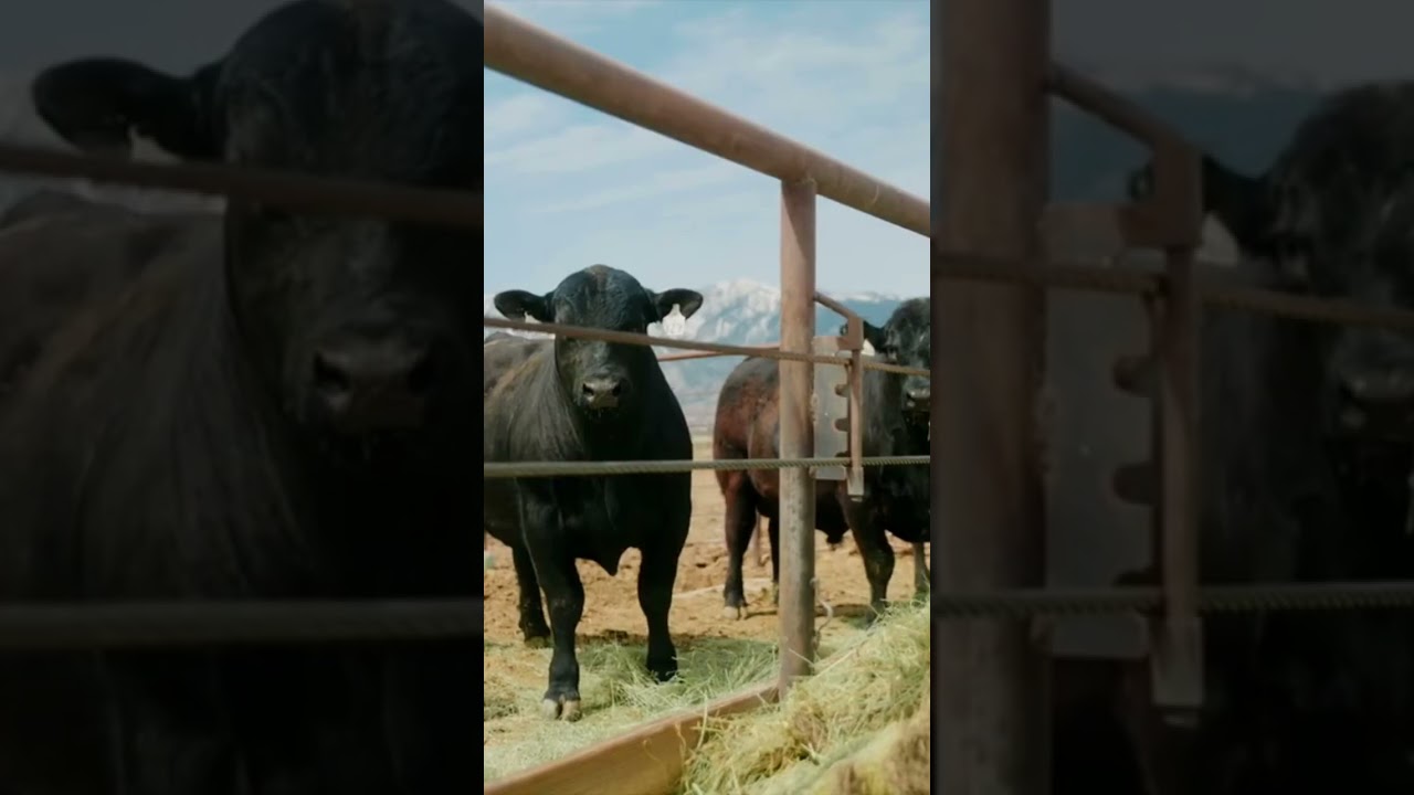 $100,000,000 Nevada Ranch for Sale! - BENTLY RANCH #shorts