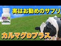 【アムウェイ】カルマグDプラス【解説】