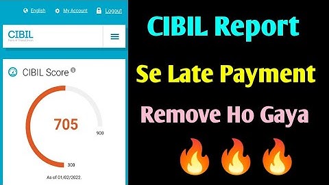 CIBIL REPORT SE LATE PAYMENT REMOVE HO GAYI 🔥🔥🔥