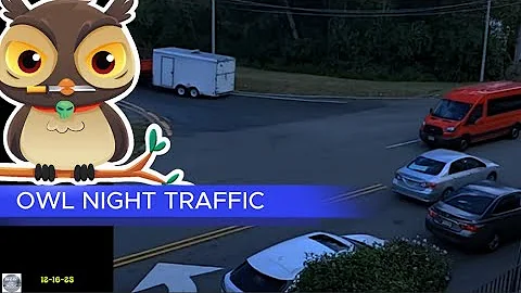 OWL NIGHT TRAFFIC #live #traffic
