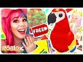 How To Get A FREE Legendary PARROT Pet In Adopt Me.. Roblox Adopt Me NEW JUNGLE PETS Update