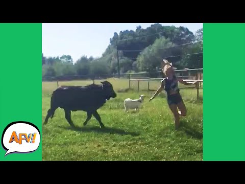 FAILING Through the FIELDS! ? | Funnies and Fails | AFV 2020