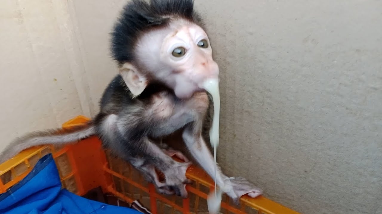 sh00t.. spr4y..  Mickey2