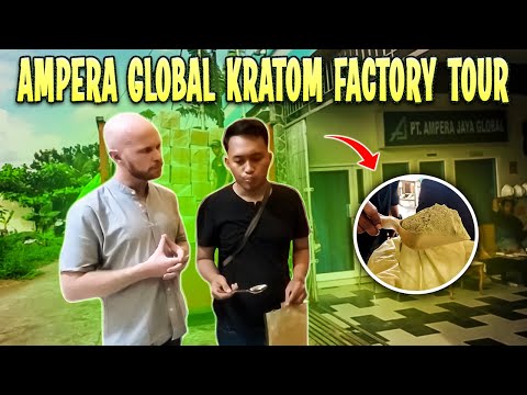 Ampera Global Kratom Factory Tour