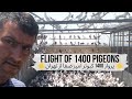 1400 голубей в небе: Иранские, Тегеранские и Пакистанские голуби из г. Тегеран 🔥  Kabootar bazi 🔥